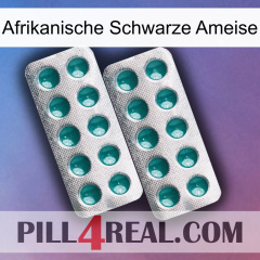 African Black Ant dapoxetine2